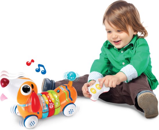 R/c Rainbow Pup - Afbeelding 2