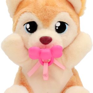 Baby Paws Yummy Shiba Inu