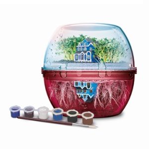 Stranger Things  The Upside Down Terrarium