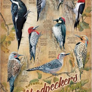 Cobble Hill Puzzel 500st Woodpeckers