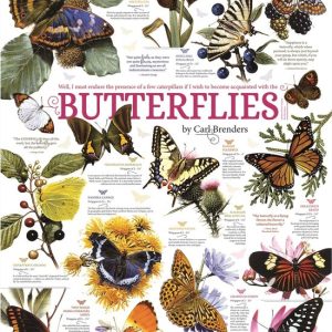 Cobble Hill Puzzel 1000st Butterfly Collection