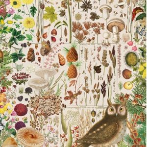 Puzzel Gibsons Fall Flora 1000 stuks