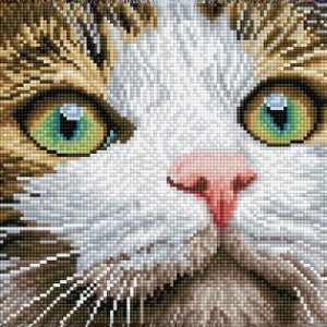 Diamond Dotz – Green Eyed Beauty 43x35cm