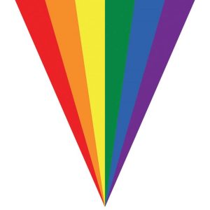 Vlaggenlijn “Regenboog” – 5m/10vlaggen