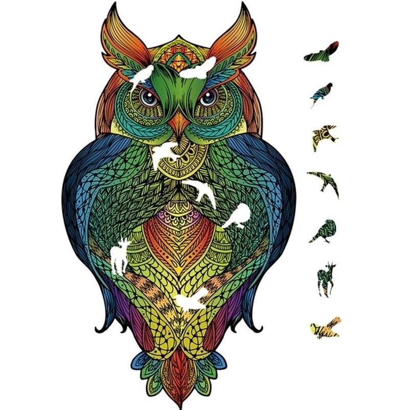 2D Rainbow Wooden Puzzel (137stuks) - Uil