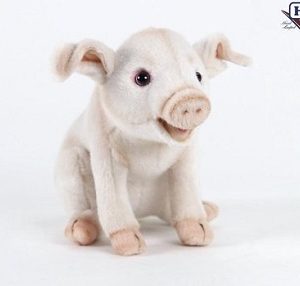 Hansa knuffel – Varken big