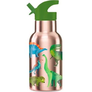 Stainless Steel Bottle – Dino World