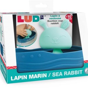 Ludi-Zeekonijntje