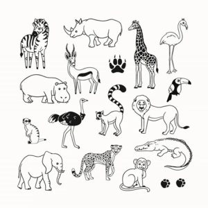 Aladine – Stampo Funny Savanne