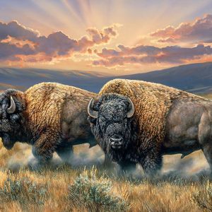 Cobble Hill Puzzel 1000st Dusty Plains