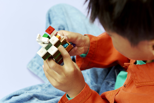 Lego Minecraft - Steve's Taiga Avontuur - 21583 - Afbeelding 3