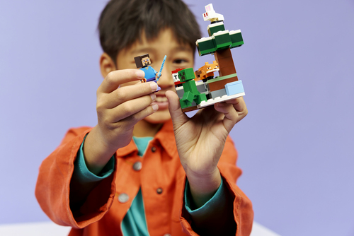 Lego Minecraft - Steve's Taiga Avontuur - 21583 - Afbeelding 4