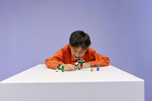 Lego Minecraft - Steve's Taiga Avontuur - 21583 - Afbeelding 7