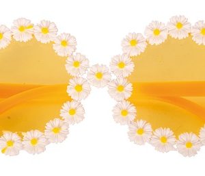 Bril Hippie Bloem 25/@12