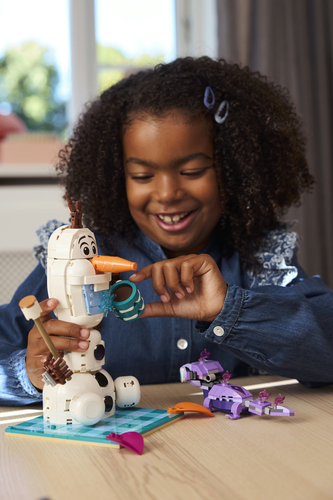 Lego Disney - Olaf en Bruni's piknickplezier - Afbeelding 6