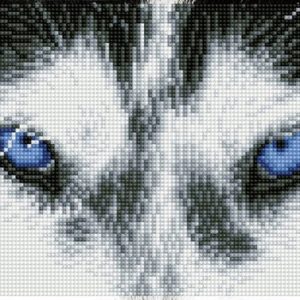 Diamond Dotz – Mystic Husky – Pre-Framed Kit