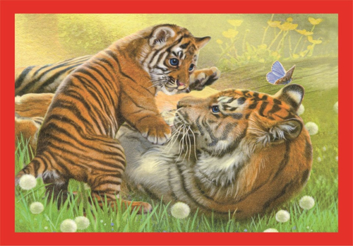 Clementoni Puzzel - 4in1 Noli Baby Cuddles - Afbeelding 2