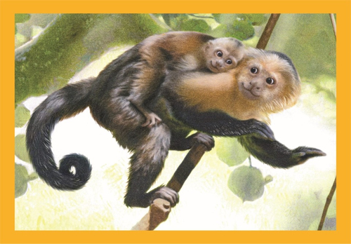 Clementoni Puzzel - 4in1 Noli Baby Cuddles - Afbeelding 4