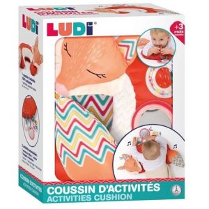 Ludi – Activiteiten Kussen Vos