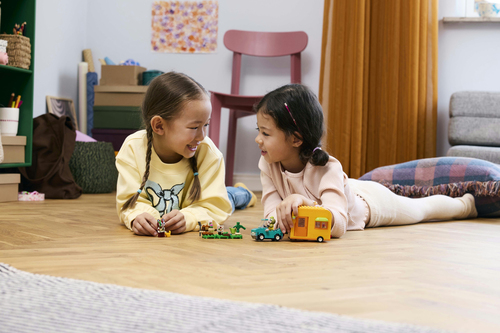 LEGO Animal Crossing - Leifs caravan en tuinwinkel - Afbeelding 7