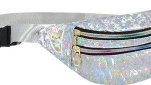 Heuptasje holodelic zilver