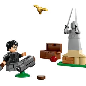 LEGO Harry Potter – Zwerkbal les – 30706