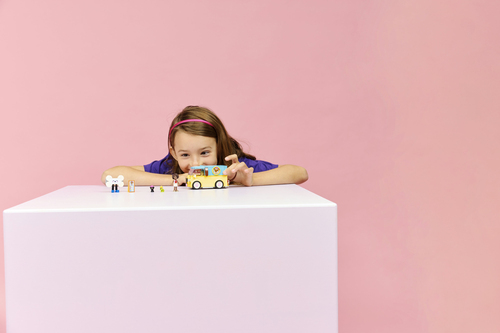 Lego Friends - Bestelwagen met dierenaccessoires - Afbeelding 4