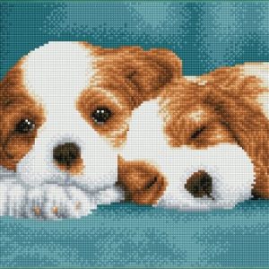 Diamond Dotz – Little Champs