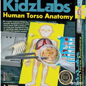 kidzlabs menselijke romp