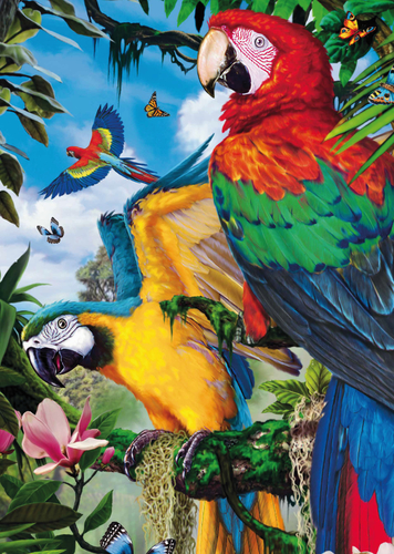 Jumbo Puzzel 1000stuks Prachtige papegaaien - Afbeelding 2