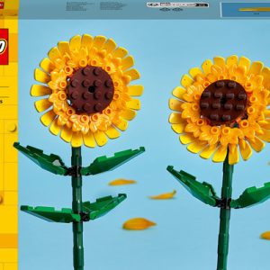 LEGO Zonnebloemen – 40524