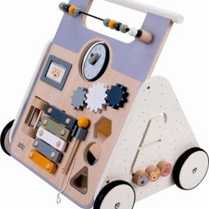 Multi functional walker