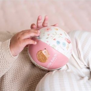 Little dutch fairy garden  softbal