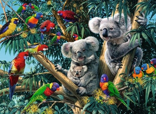 Ravensburger Puzzel (500stuks) - Koala's in de boom - Afbeelding 2