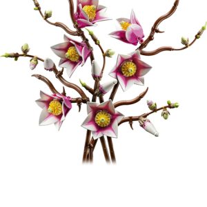 LEGO Botanicals – Magnoliatakken