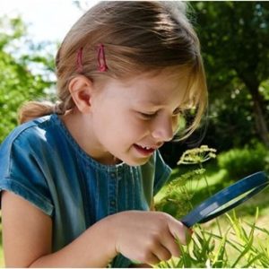 Terra Kids – Kinderloep