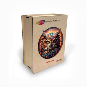 2D Rainbow Wooden Puzzel (200stuks) – Uil II