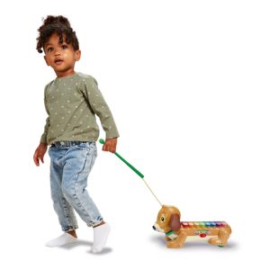 Vtech Timmie Teckel Xylofoon