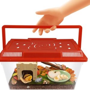 BUKI – Slakkenhuis