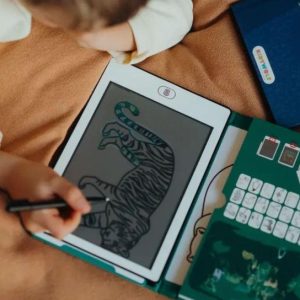 Kidywolf Kidydraw – Dieren over de hele wereld & Oceanen en Piraten