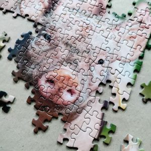 Tactic Puzzel Piglets 1000st