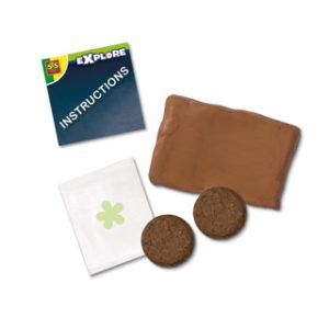 SES Vlinder bloembollen