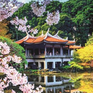 Jumbo Puzzel 1000stuks Bloesem in Japan