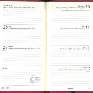 Agenda 2025 (Interplan COLORA) met weekoverzicht – assorti