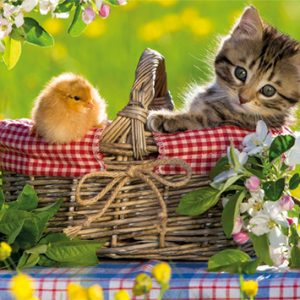 Jumbo Puzzel Premium Collection Klaar voor de Picknick 500 stukjes