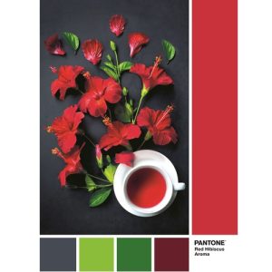 PZL 1000 Pantone – Goji Berry