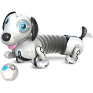 Robo Dackel R