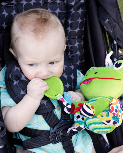 Lamaze - Jibber Jabber Jake - Afbeelding 3