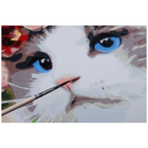 Schilderen op nummer – Ragdoll met bloemenkrans