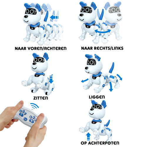 Robo Raff - Afbeelding 4